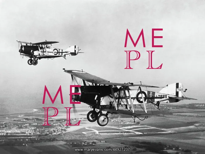 : Bristol F-2B Fighter : Bristol F-2B Fighter