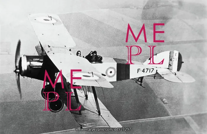 : Bristol F-2B Fighter : Bristol F-2B Fighter