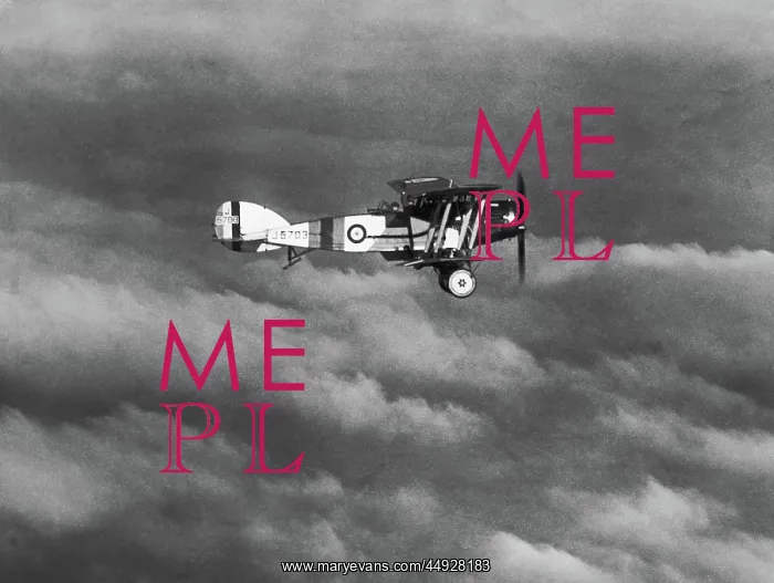 : Bristol F-2B Fighter : Bristol F-2B Fighter