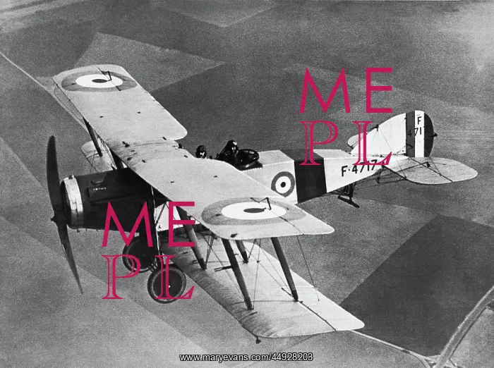 : Bristol F-2B Fighter : Bristol F-2B Fighter