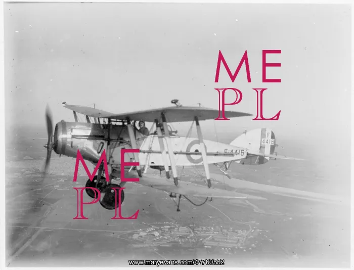 : Bristol F.2B F4416 : Bristol F.2B F4416