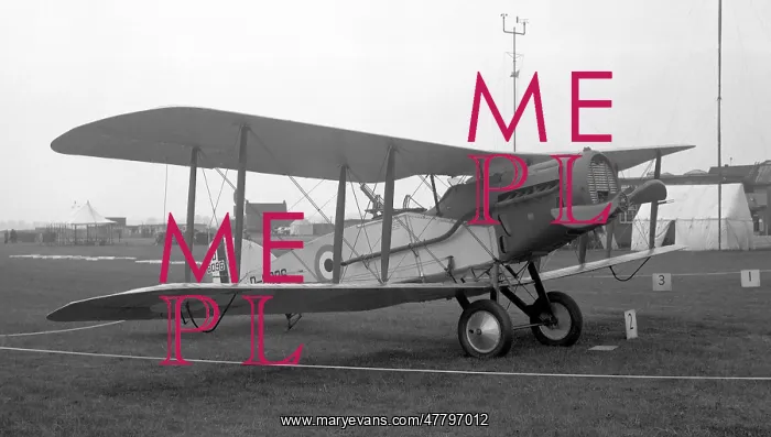 : Bristol F.2b Fighter D8096 : Bristol F.2b Fighter D8096