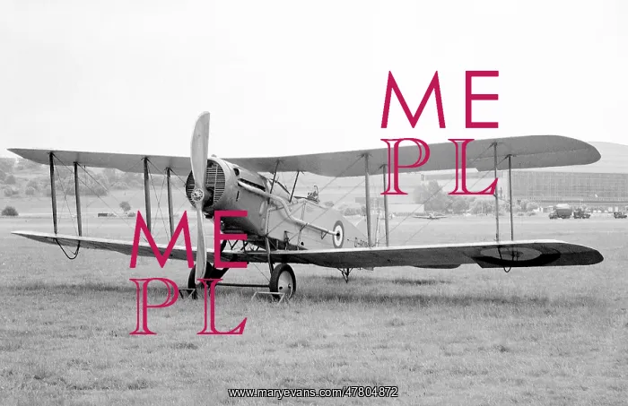 : Bristol F.2b fighter D8096 : Bristol F.2b fighter D8096
