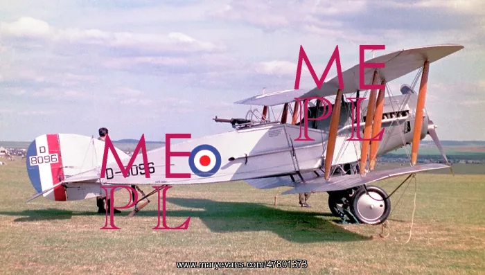 : Bristol F.2b Fighter G-AEPH - D8096 : Bristol F.2b Fighter G-AEPH - D8096