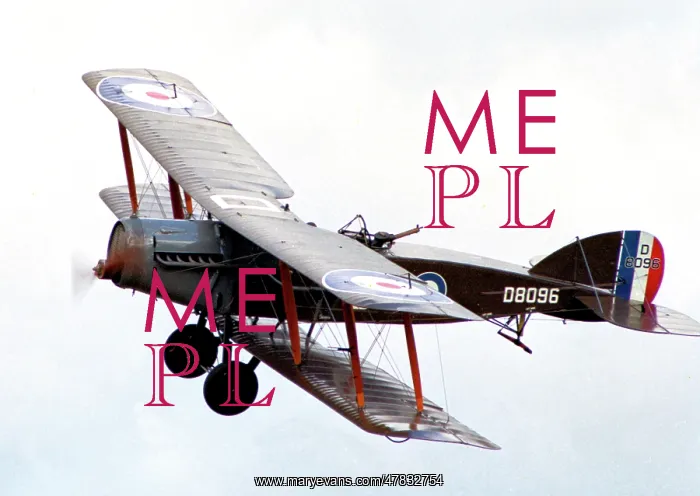 : Bristol F.2B Fighter G-AEPH - D8096 : Bristol F.2B Fighter G-AEPH - D8096