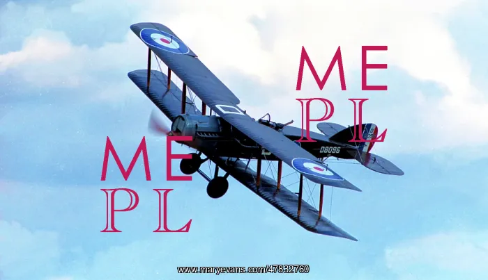 : Bristol F.2B Fighter G-AEPH - D8096 : Bristol F.2B Fighter G-AEPH - D8096