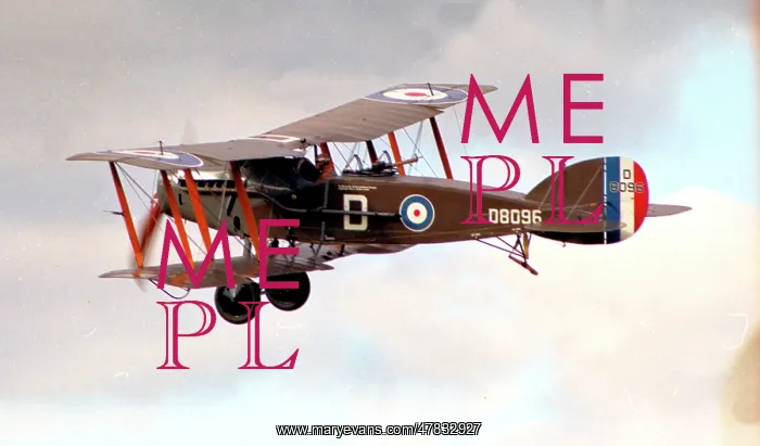 : Bristol F.2B Fighter G-AEPH - D8096 : Bristol F.2B Fighter G-AEPH - D8096