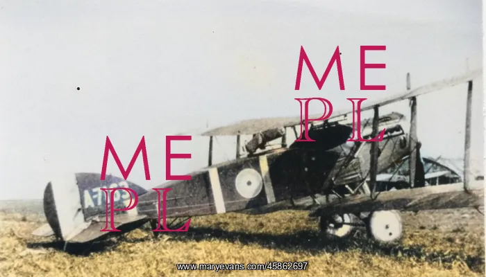 : Bristol F2B using a 275hp Rolls Royce Falcon could achi? : Bristol F2B using a 275hp Rolls Royce Falcon could achi?