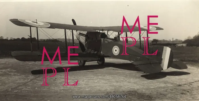 : Bristol Fighter F2B C4885 : Bristol Fighter F2B C4885