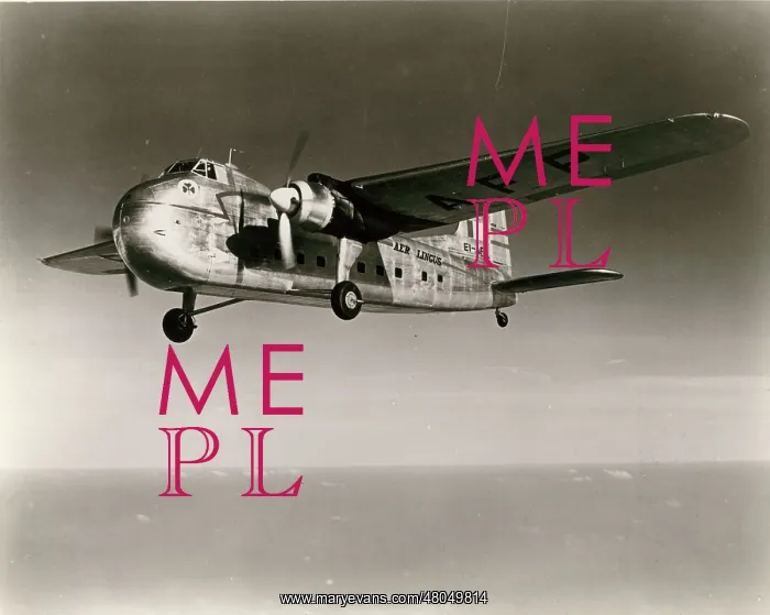 : Bristol Freighter 31 EI-AFP of Aer Lingus : Bristol Freighter 31 EI-AFP of Aer Lingus