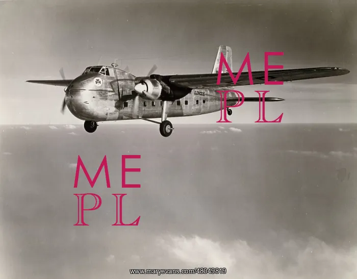 : Bristol Freighter 31 EI-AFP of Aer Lingus : Bristol Freighter 31 EI-AFP of Aer Lingus