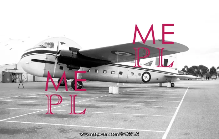 : Bristol Freighter A81-1 : Bristol Freighter A81-1
