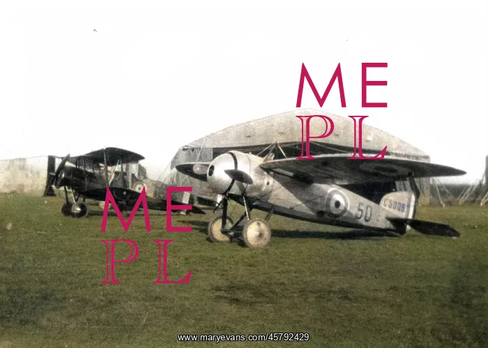 : Bristol M IC combat monoplane : Bristol M IC combat monoplane