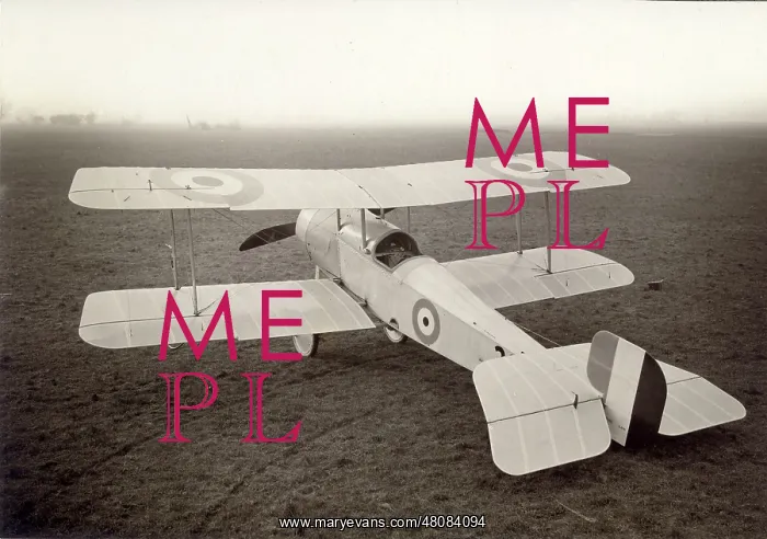 : Bristol Scout C : Bristol Scout C