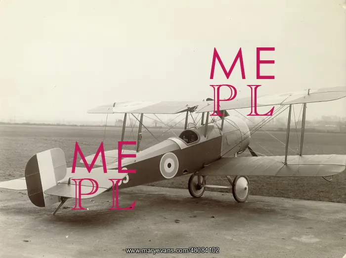 : Bristol Scout D N5393 : Bristol Scout D N5393