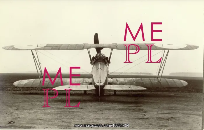: The third Bristol Scout F B3991 : The third Bristol Scout F B3991