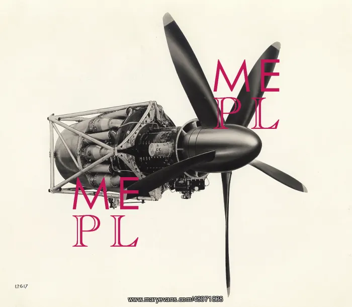 : Bristol Theseus I turboprop : Bristol Theseus I turboprop