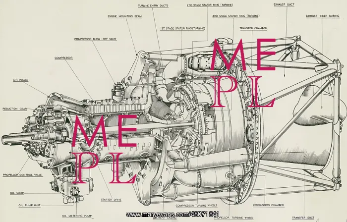 : Bristol Theseus turboprop cutaway drawing : Bristol Theseus turboprop cutaway drawing