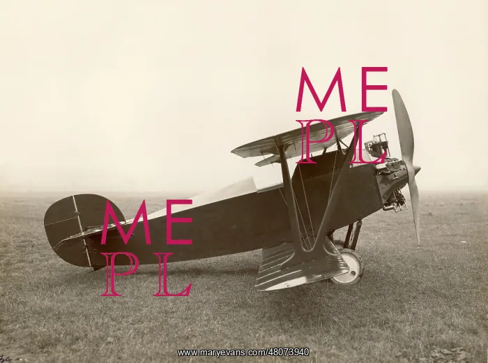 : Bristol Type 30 Babe I : Bristol Type 30 Babe I
