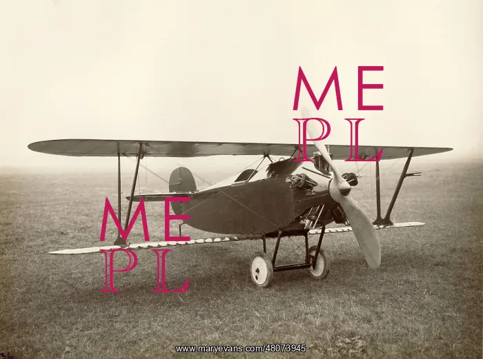 : Bristol Type 30 Babe I : Bristol Type 30 Babe I