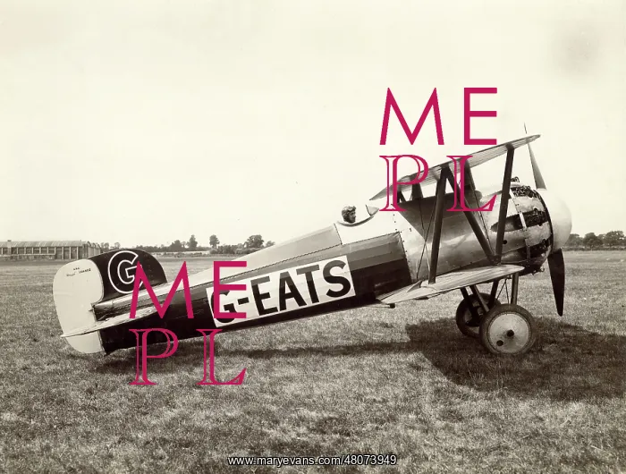 : Bristol Type 32 Bullet, G-EATS : Bristol Type 32 Bullet, G-EATS