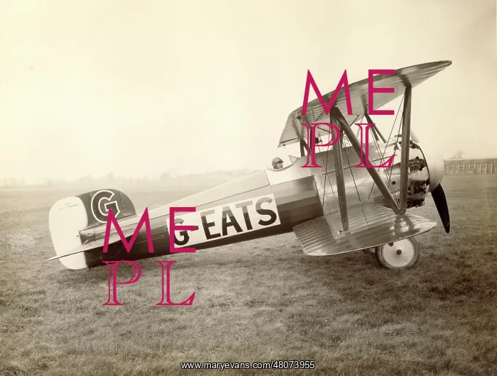 : Bristol Type 32 Bullet, G-EATS : Bristol Type 32 Bullet, G-EATS