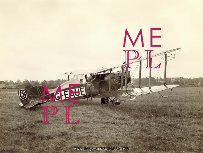 : Bristol Type 36 Seely, G-EAUE : Bristol Type 36 Seely, G-EAUE