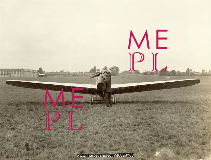 : Bristol Type 91 Brownie : Bristol Type 91 Brownie