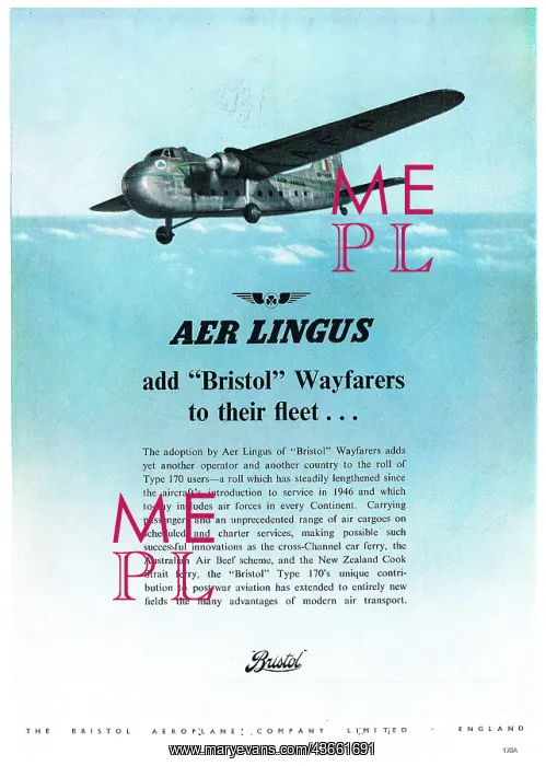 : Bristol Wayfarer - Aer Lingus : Bristol Wayfarer - Aer Lingus
