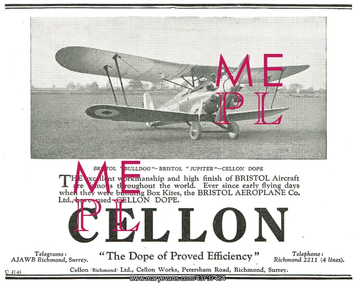 : Bristol's Bulldog Fighters Are Doped With Cellon : Bristol's Bulldog Fighters Are Doped With Cellon