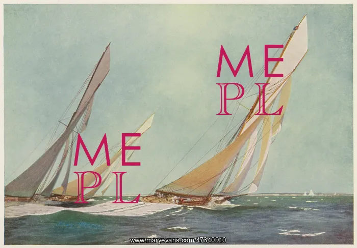 : BRITANNIA IN A RACE : BRITANNIA IN A RACE