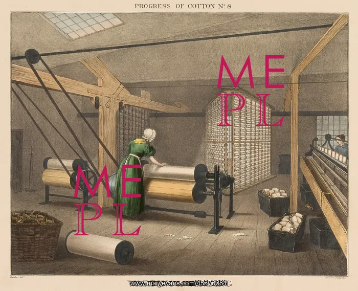 : British 1840s depiction the Progress of Cotton : British 1840s depiction the Progress of Cotton