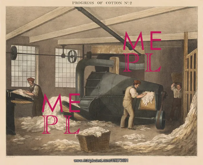 : British 1840s depiction the Progress of Cotton : British 1840s depiction the Progress of Cotton