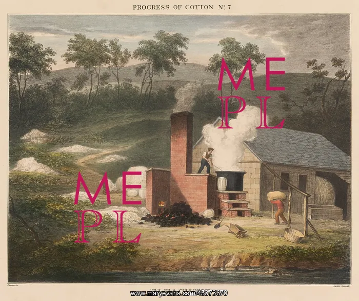 : British 1840s depiction the Progress of Cotton : British 1840s depiction the Progress of Cotton