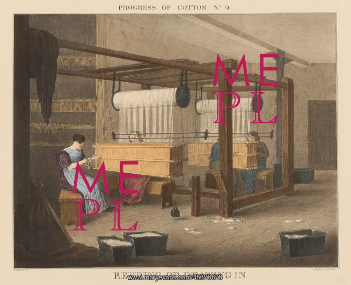 : British 1840s depiction the Progress of Cotton : British 1840s depiction the Progress of Cotton