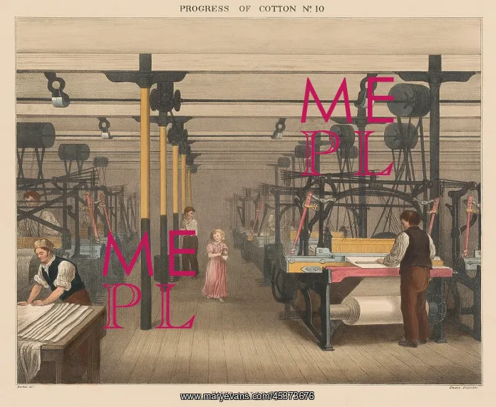 : British 1840s depiction the Progress of Cotton : British 1840s depiction the Progress of Cotton