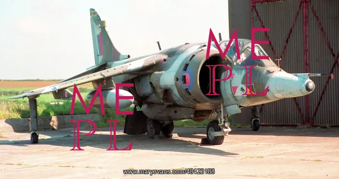 : British Aerospace Harrier GR.3 XZ995 : British Aerospace Harrier GR.3 XZ995