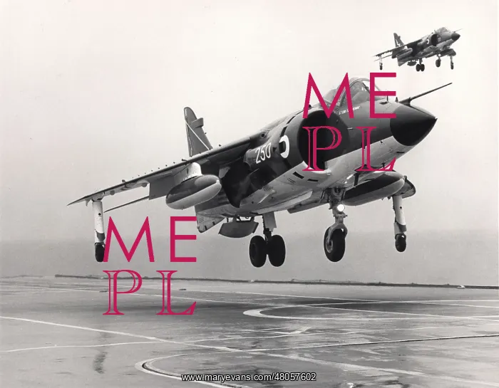 : Two British Aerospace Sea Harriers : Two British Aerospace Sea Harriers