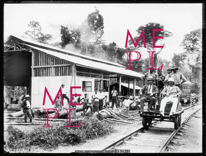 : BRITISH IN AFRICA / MILL : BRITISH IN AFRICA / MILL