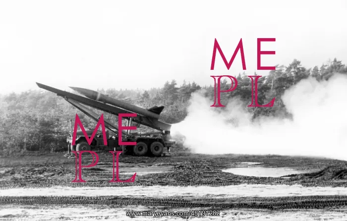 : British allies at target practice : British allies at target practice