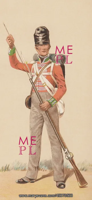 : British Army : British Army