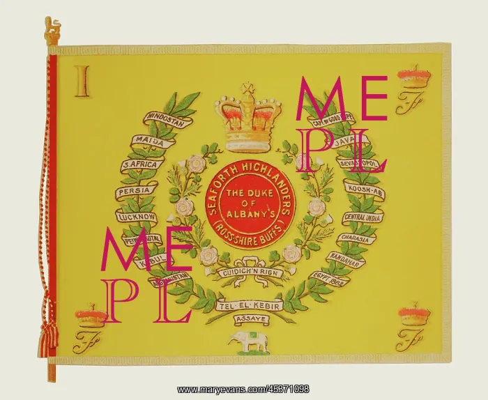 : British Army : British Army