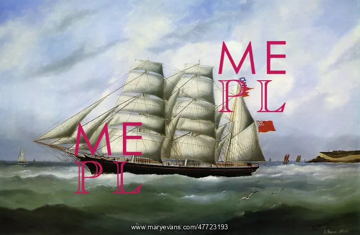  : The British Barque Wandering Chief