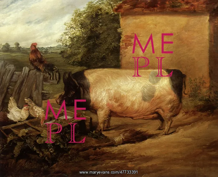  : A British Boar, by Landseer