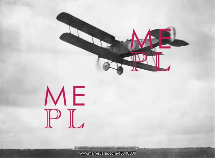 : British Bristol fighter plane in flight, WW1 : British Bristol fighter plane in flight, WW1