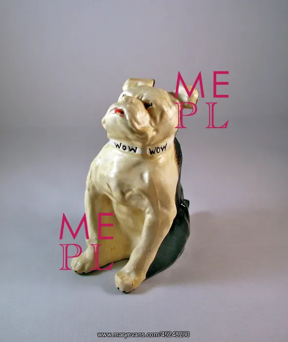 : British bulldog with Bow, Bow, Bow around his neck : British bulldog with Bow, Bow, Bow around his neck