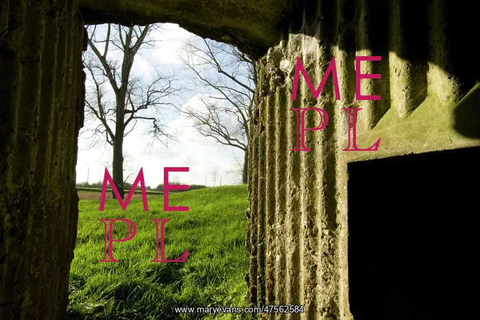 : British Bunkers - Lankhofe Farm : British Bunkers - Lankhofe Farm