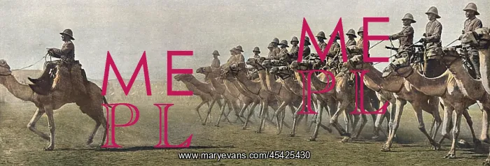 : British Camel Corps in the Sudan, 1916 : British Camel Corps in the Sudan, 1916