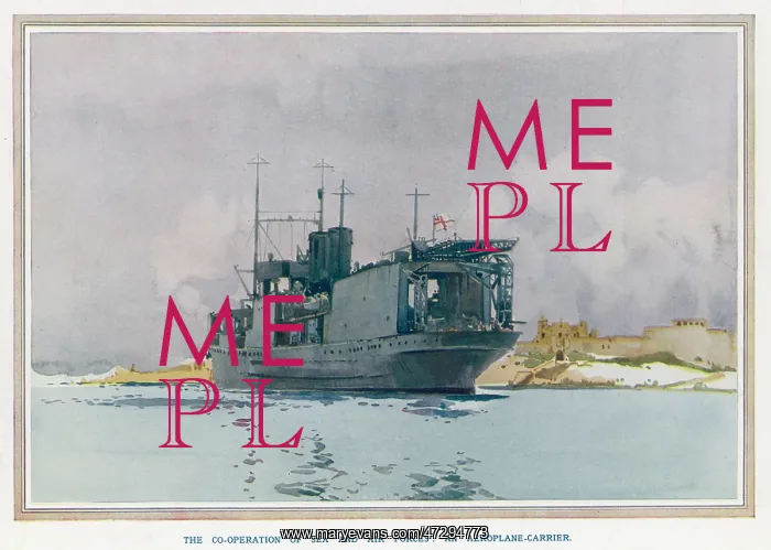 : BRITISH CARRIER 1921 : BRITISH CARRIER 1921