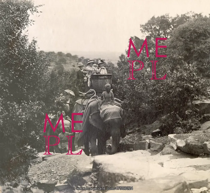 : British colonials enjoying an excursion by elepant, India : British colonials enjoying an excursion by elepant, India